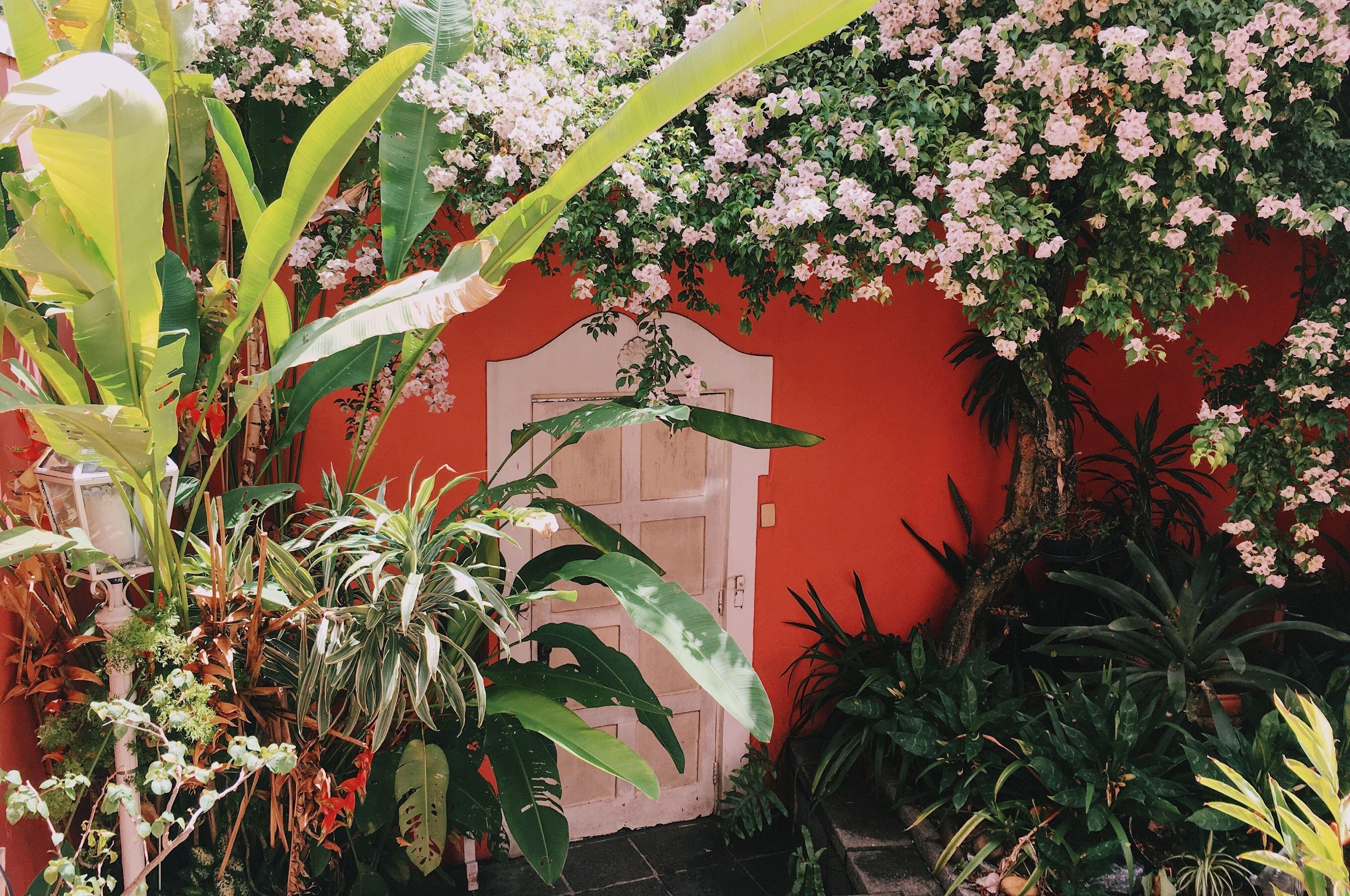 Casa Francisco Bed & Breakfast - Rio de Janeiro, Rio de Janeiro